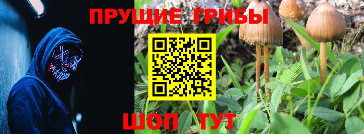 Галлюциногенные грибы Cubensis  Псилоцибиновые грибы мицелий  Майкоп  Вход с VPN 